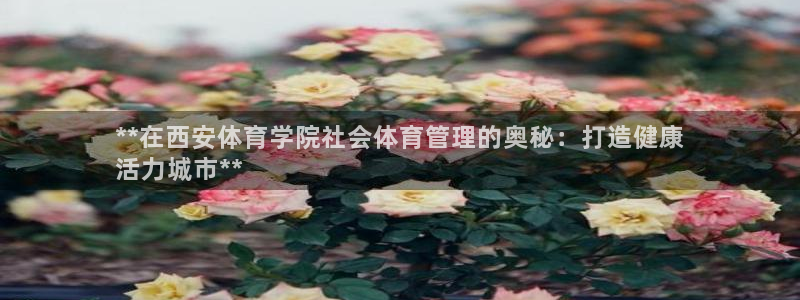 必一体育在线下载：*