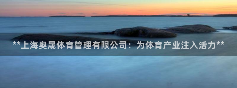 必一运动 b 体育素