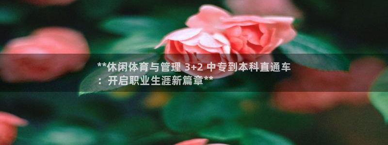 必一运动体育官网下载