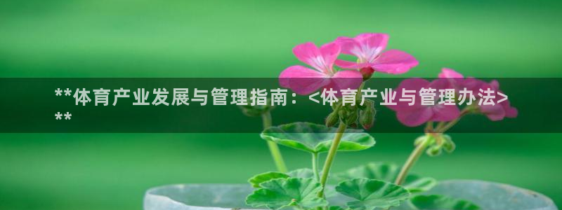 必一体育bsport