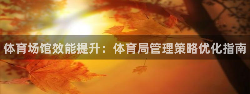 必一体育登入：体育场