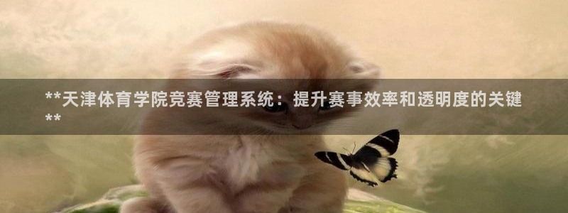 必一体育sportB