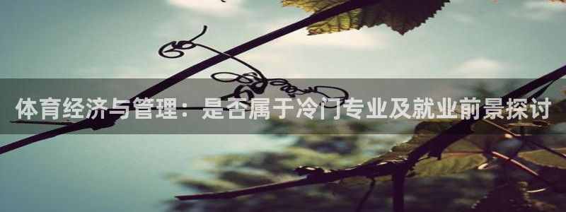 必一体育官网ios下