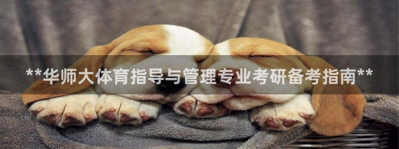 必一体育下载：**华