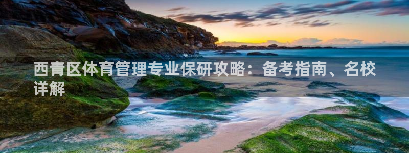 必一体育sport网