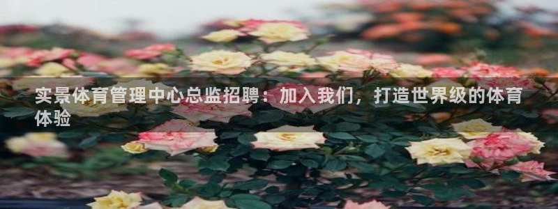 必一体育下载app：