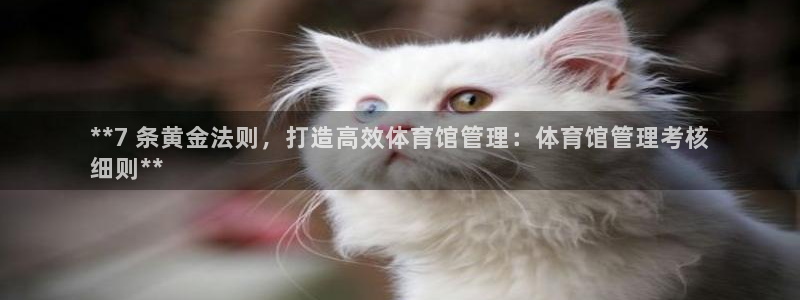 必一体育平台：**7