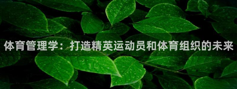 必一体育下载一样吗：