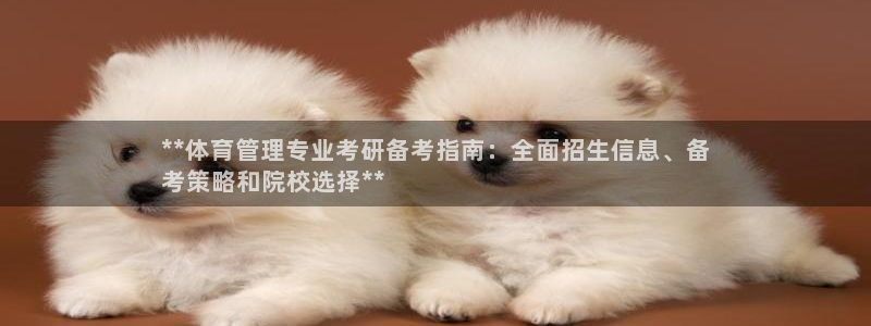必一运动sport爱