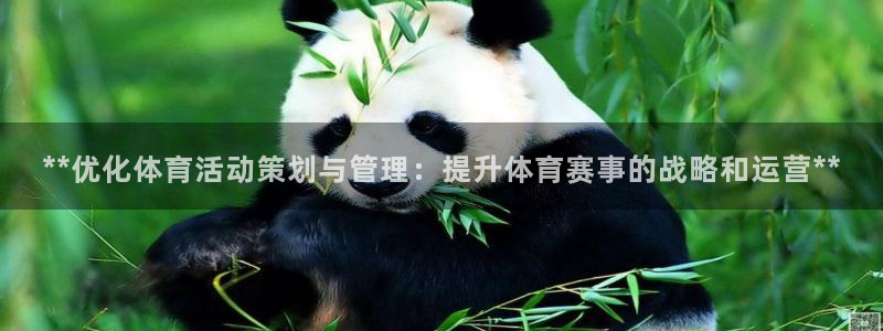 必一体育电子app：