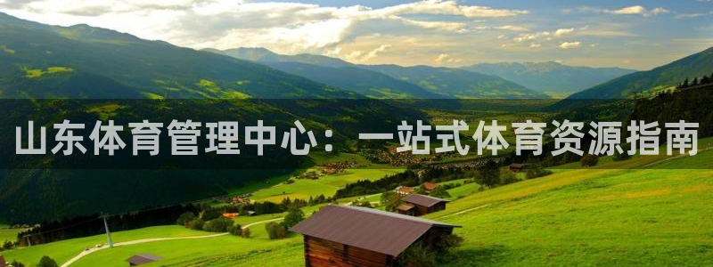 必一体育最新官网入口