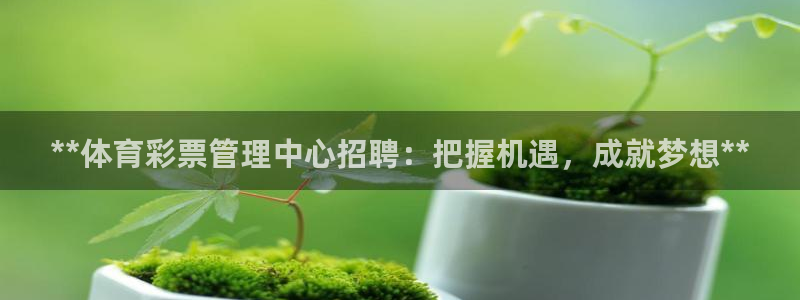 必十二和必一的副作用