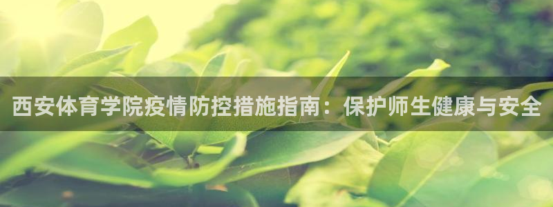 必一体育bsport