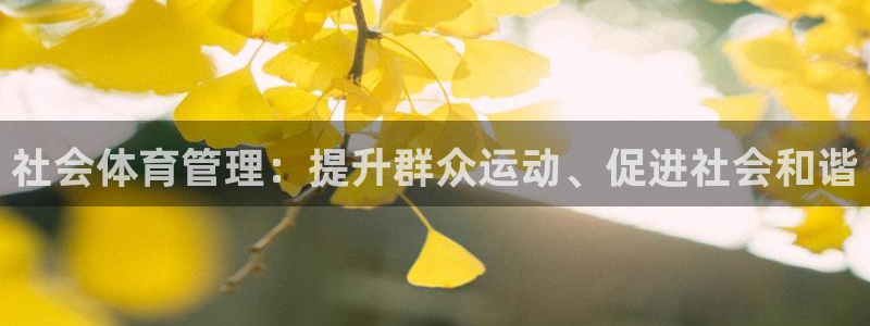 必一体育运动官网：社