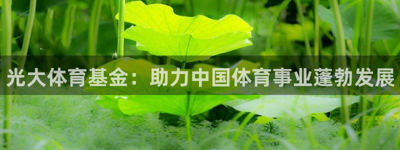 必一运动tieba.