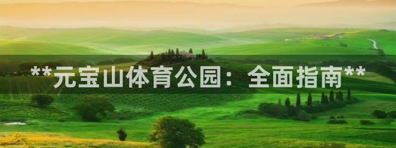 必一体育是啥：**元