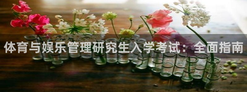 必一体育没了：体育与