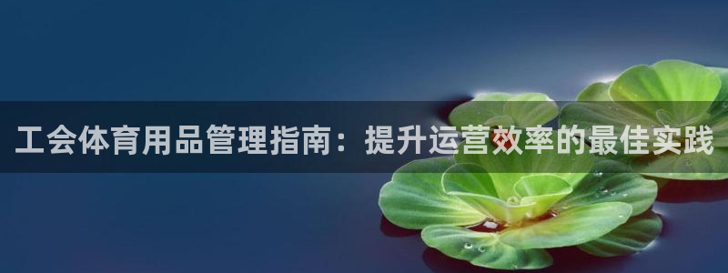 必一体育下载义：工会