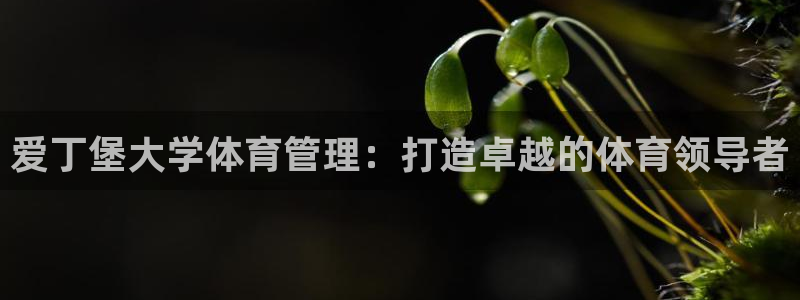 必一体育app下载最