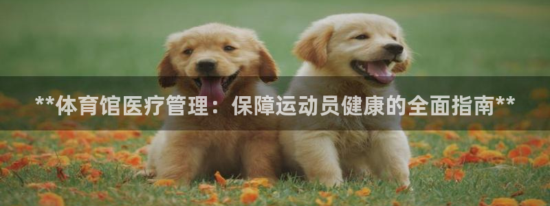 必一体育APP下载安