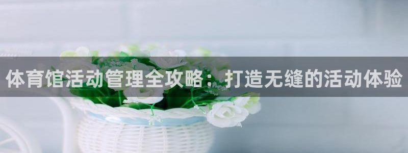 必一体育运动app下