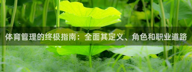 必一体育运动下载：体