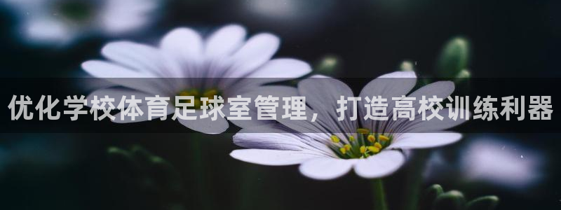 必一体育bsport