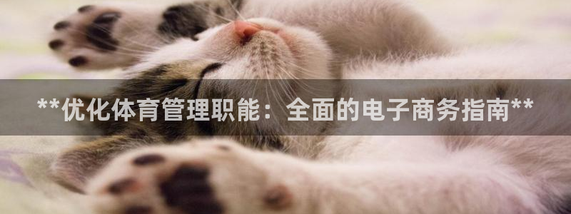 必一体育官网网站：*