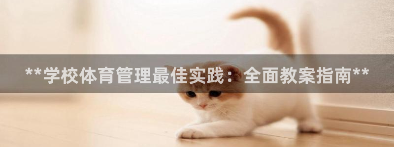 必一体育运动下载：*