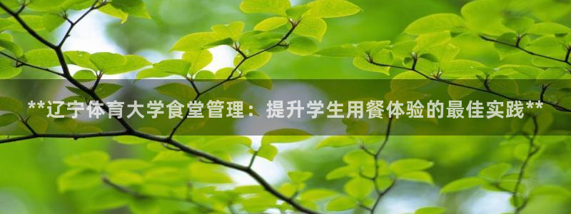必一体育平台：**辽
