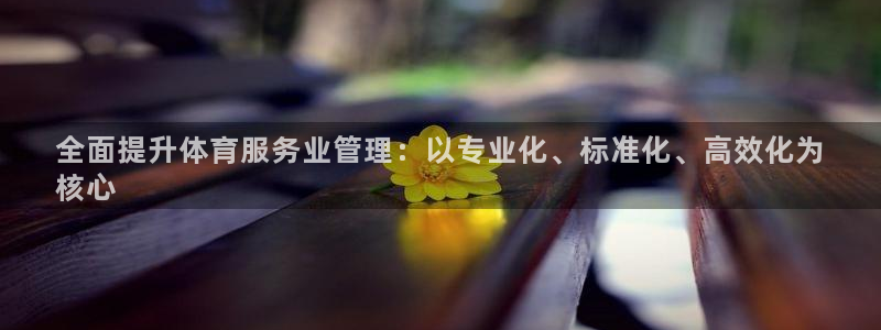 必一体育官网网站：全