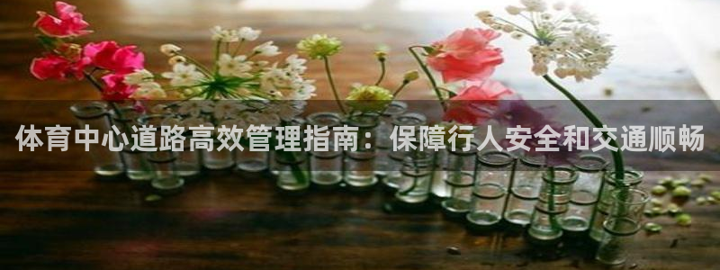 必一体育手机下载：体