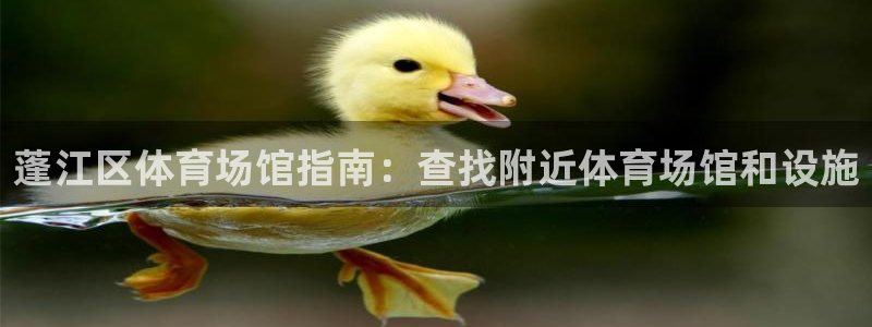 必一运动·体育：蓬江