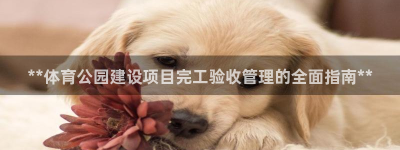 必一体育app官方下