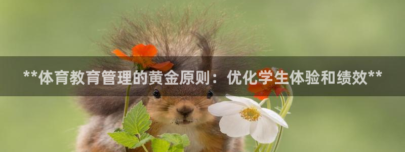 必一体育sport网