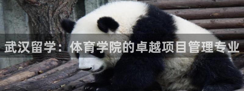 必一体育流水线是什么意思：武汉留学：体育学院的卓越项目管理专