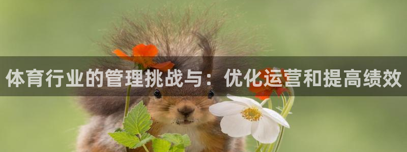 必一运动aop：体育