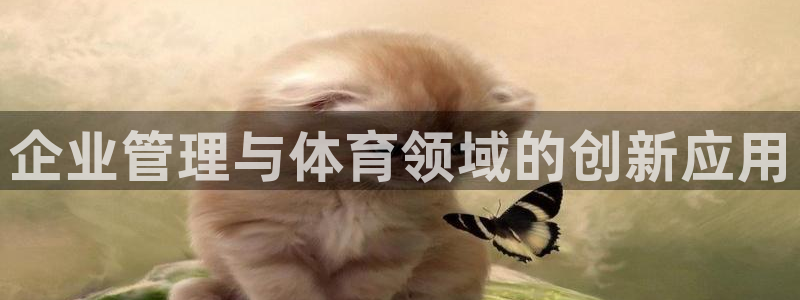 必一体育sportB体育