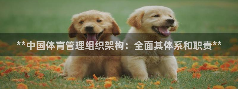 Bsport体育app必一