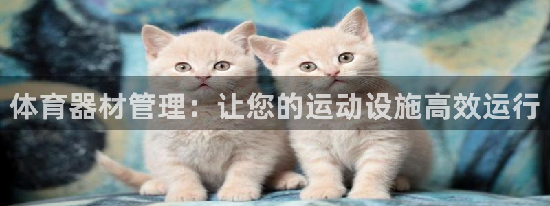 必一运动体育官网
