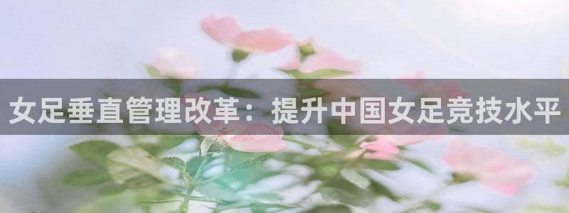 必一体育服下载最新版