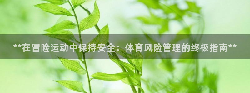 Bsport体育必一