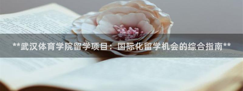 必一体育验证码