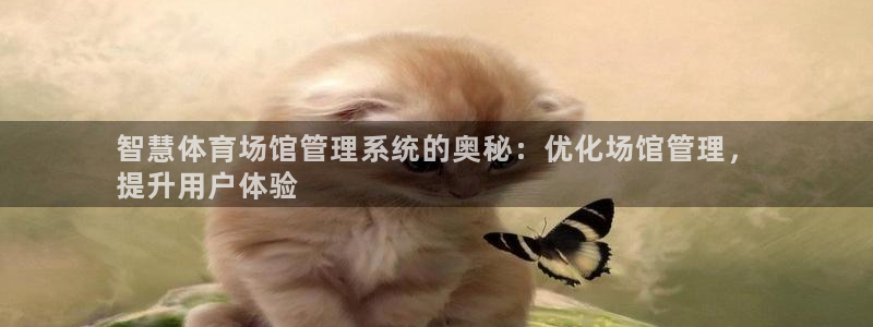 必一运动bsport体育app下载