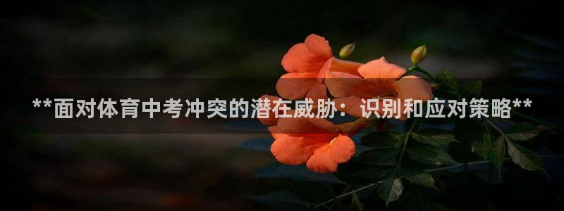 必一体育官方下载入口