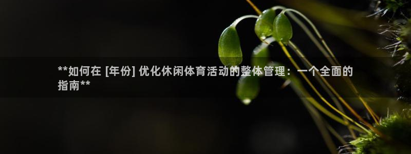 必一体育官网ios下