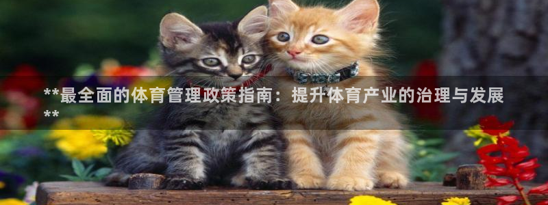 必一体育登录：**最全面的体育管理政策指南：提升体育产业的治
