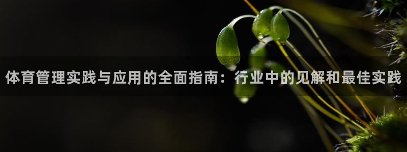 必一体育app官方：