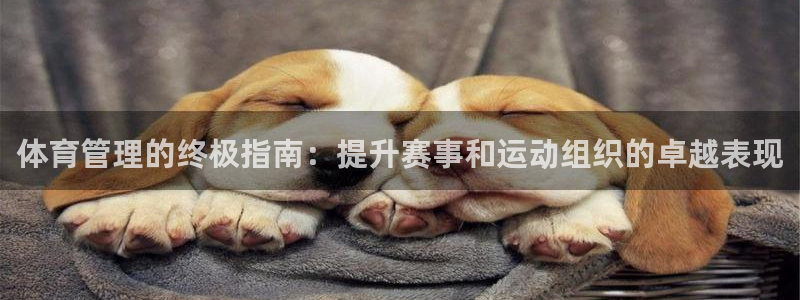 必一体育官方下载入口：体育管理的终极指南：提升赛事和运动组织