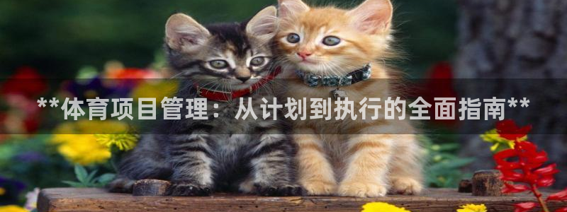 必一体育合法吗：**